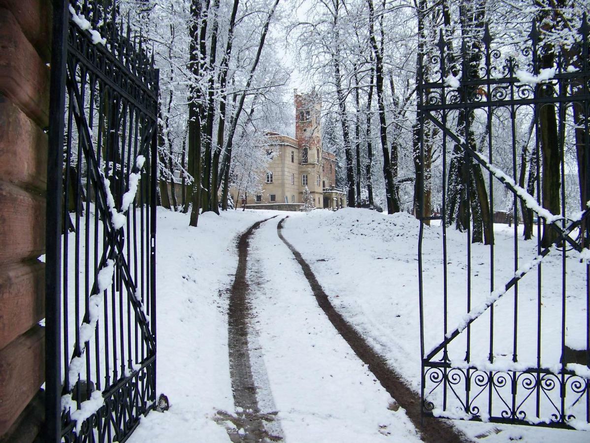 Palac Dabrowica Dabrowica  Kültér fotó