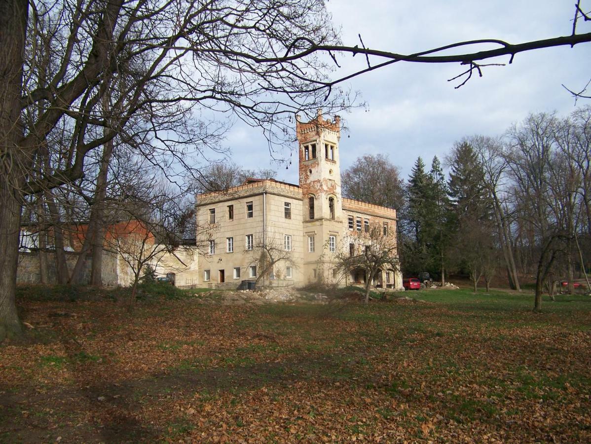Palac Dabrowica Dabrowica  Kültér fotó