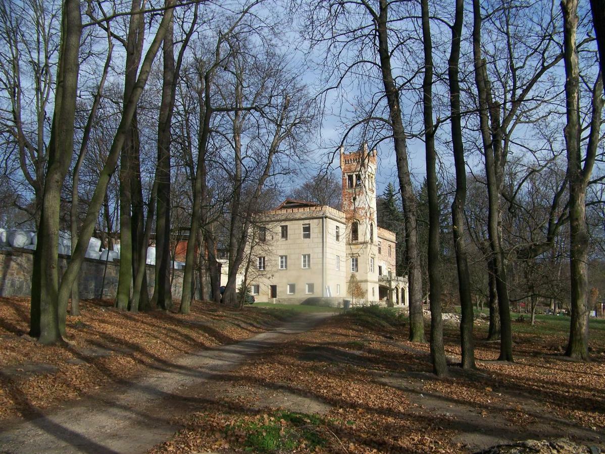 Palac Dabrowica Dabrowica  Kültér fotó